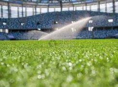 波斯特科格,集结完毕,球员状态恢,星空体育官网,星空体育App,星空体育平台,星空体育网页版,星空体育官方